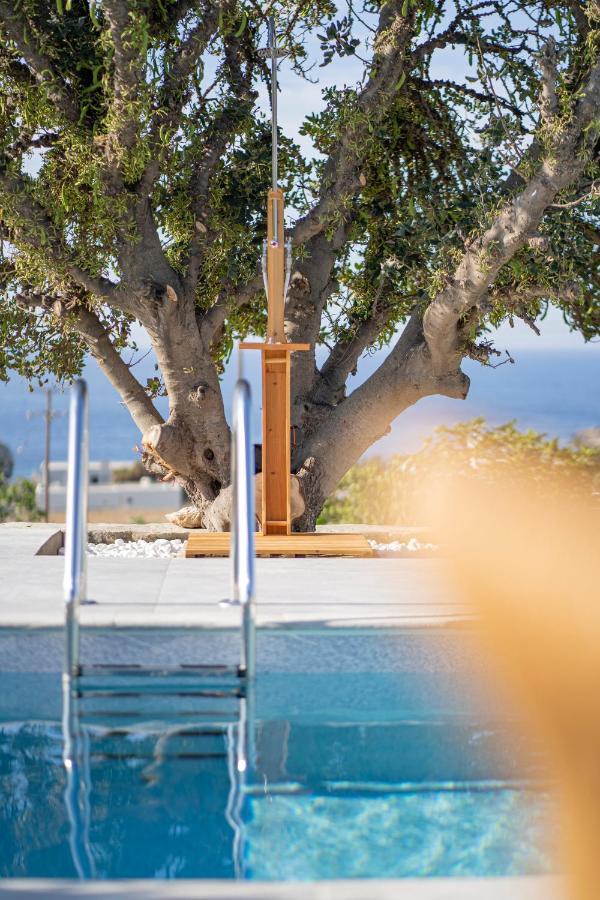 Santa Marina Syros Villa Liaropá Екстериор снимка